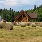 Alpstuga Kraljica Sume - Divjake Log