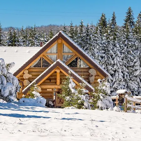 Kraljica Sume - Divjake Log *