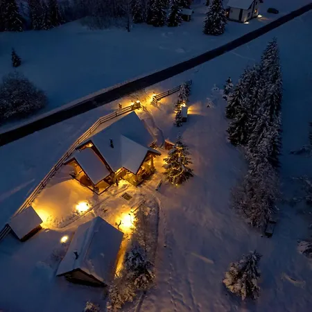 Kraljica Sume - Divjake Log *