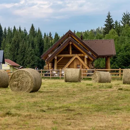 Chalet Kraljica Sume - Divjake Log