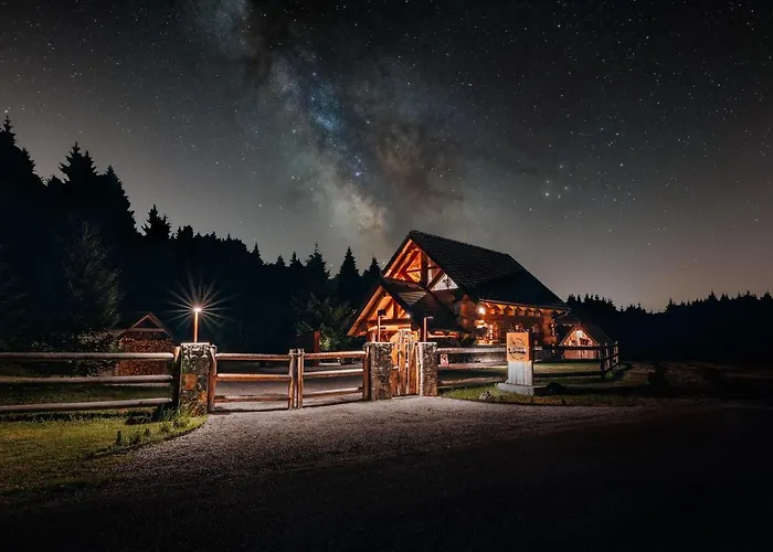 Kraljica Sume - Divjake Log *